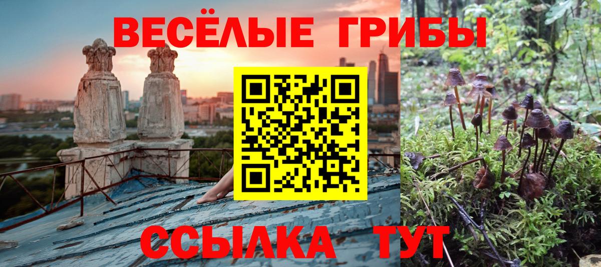 Псилоцибиновые грибы прущие грибы Искитим