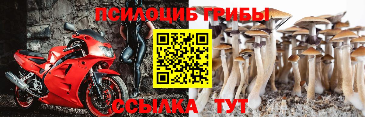 Галлюциногенные грибы Cubensis  Вход с VPN  Искитим 
